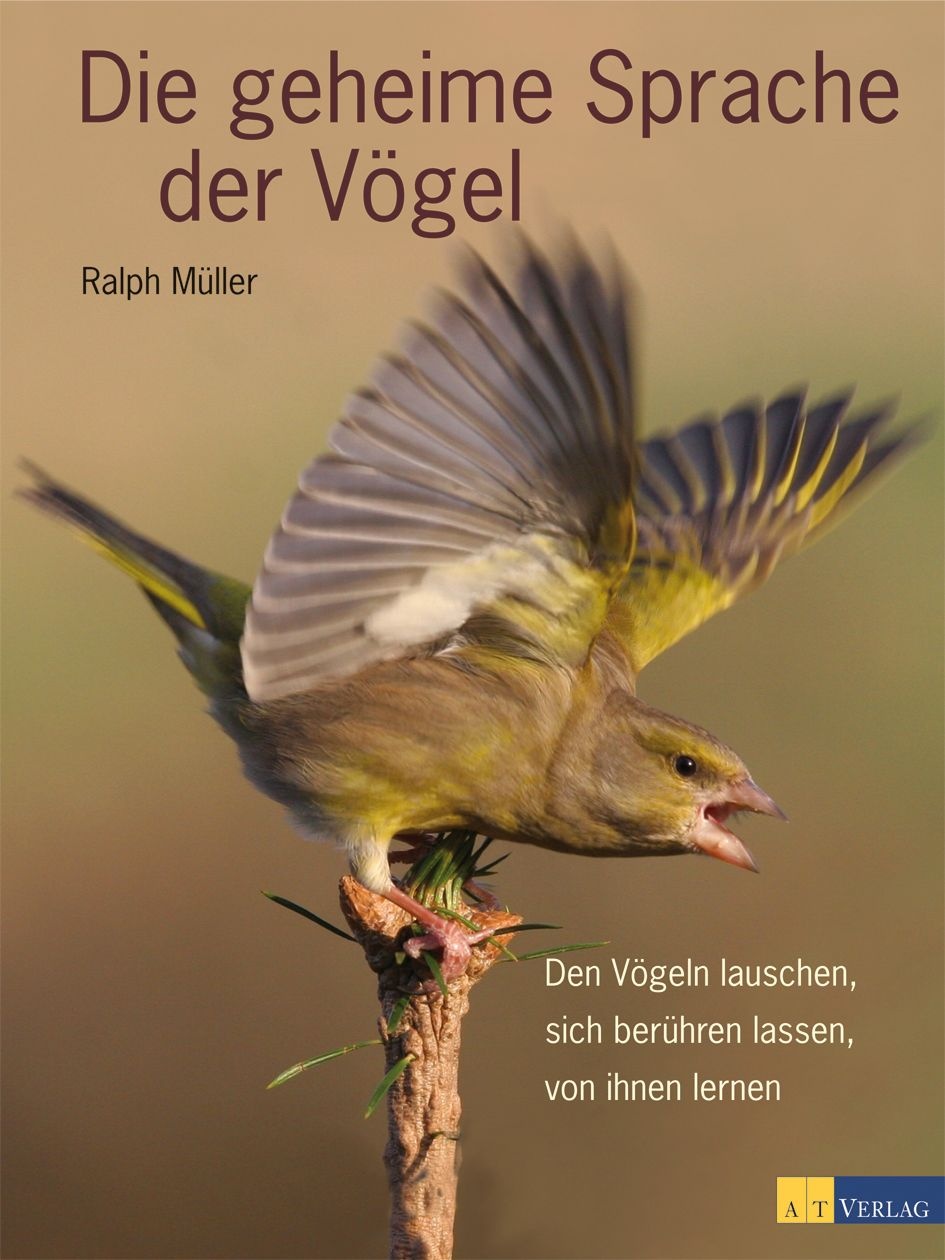 Buch Die Geheime Sprache Der Vogel Von Ralph Muller At Verlag