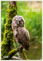 Cover: AT Verlag: Vorschau «Herbst 2023»