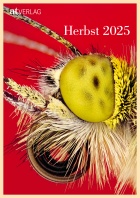 Cover: AT Verlag: Vorschau «Herbst 2025»
